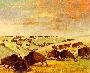George Catlin Buffalo Bulls Fighting in Running Season-Upper Missouri Sweden oil painting reproduction